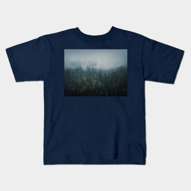 Misty fir forest Kids T-Shirt by psychoshadow